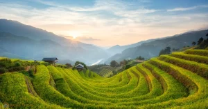 Vietnam September October golden rice terraces Mu Cang Chai harvest season Yen Bai province northern Vietnam late September early October
