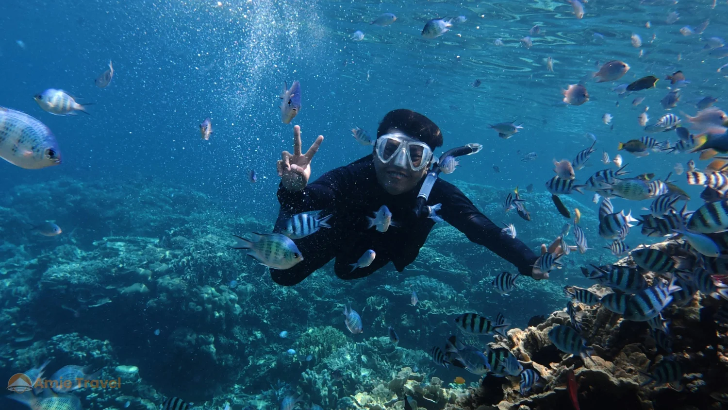 Hon Mun coral reef diving snorkeling clear water vivid fish