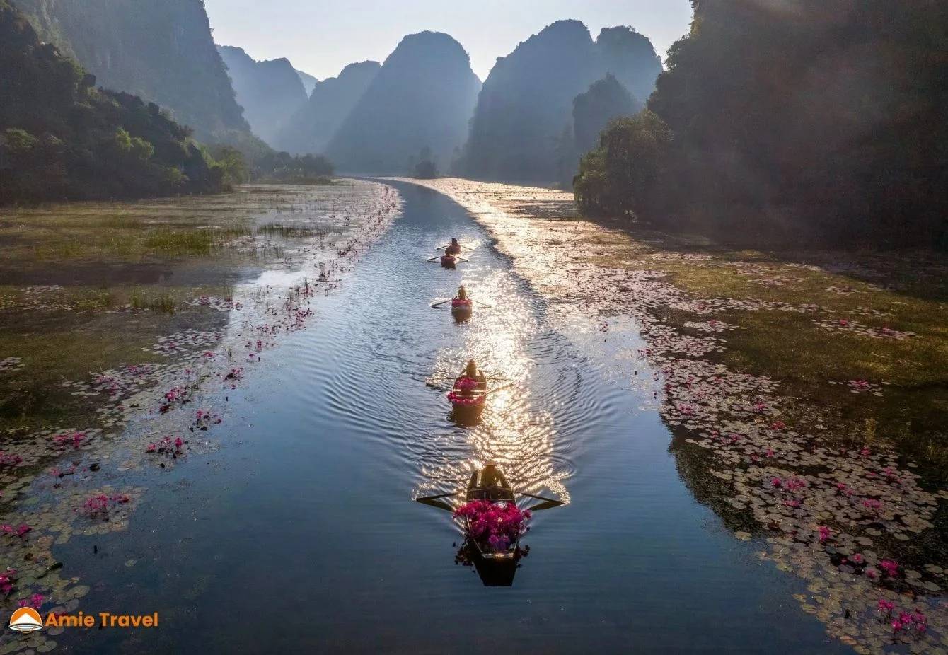 Lotus flower season in October in Tam Coc, Ninh Binh