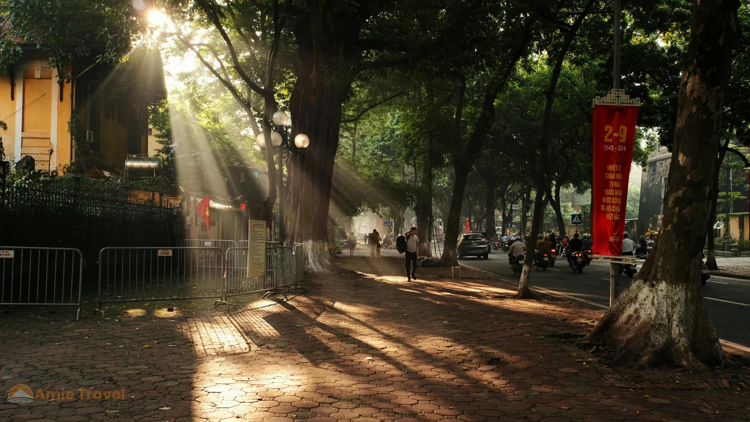 Phan Dinh Phung Street Hanoi October milk flower trees autumn morning French colonial boulevard golden light