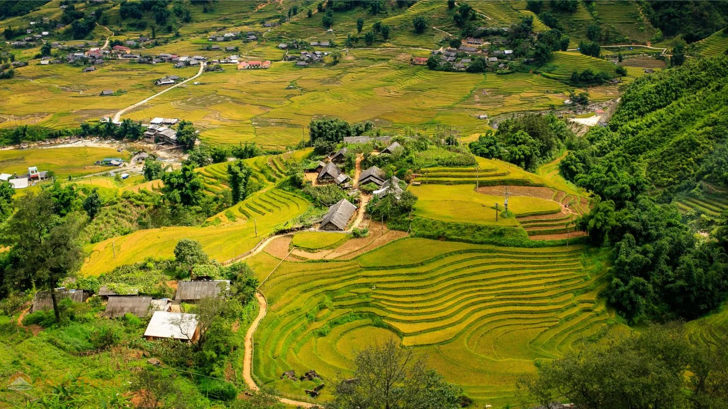 Sapa mirror terraces April May flooded rice fields reflection clouds mountains Muong Hoa Valley