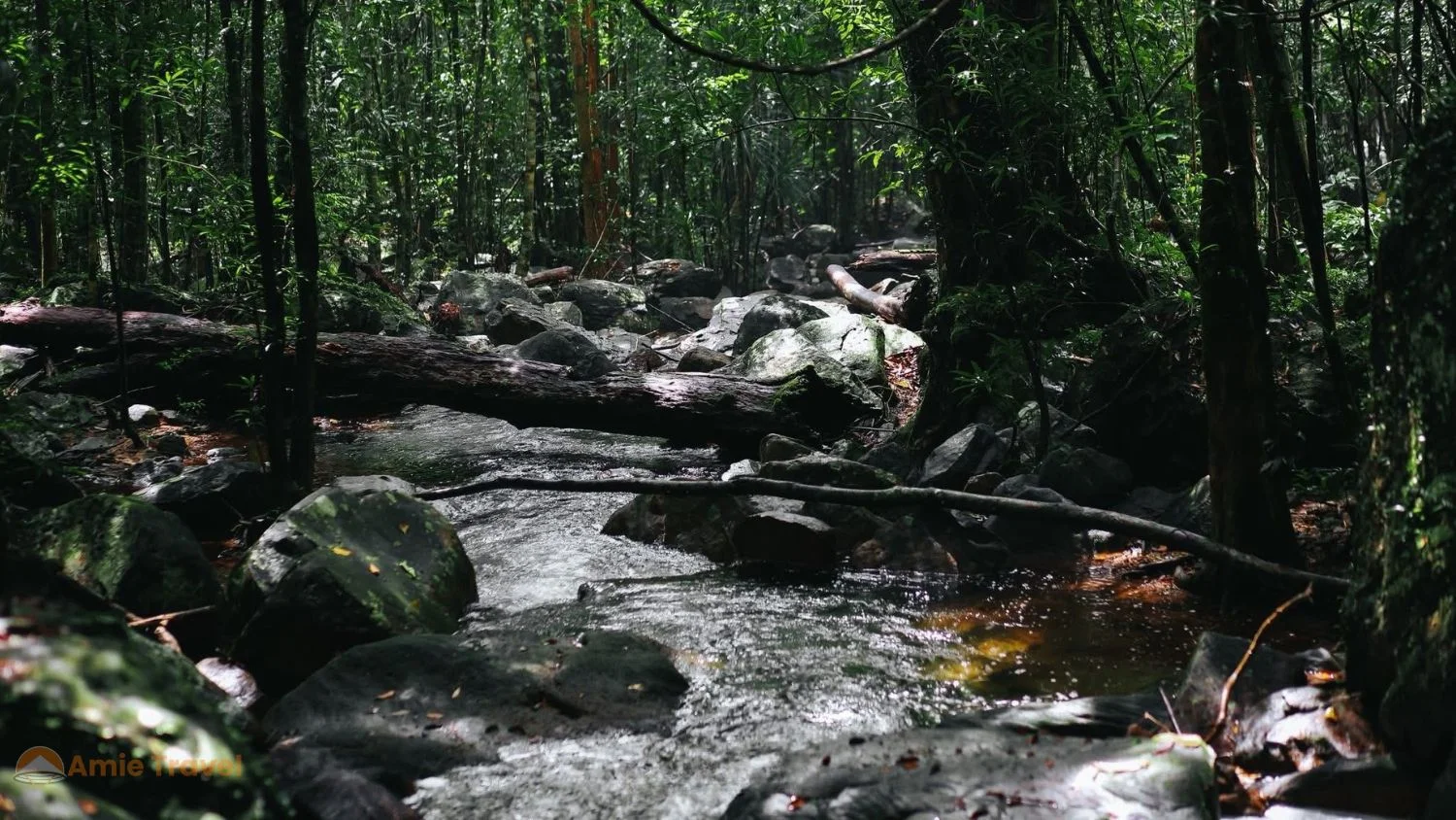 Suoi Tranh Waterfall Phu Quoc full volume rainy season natural pool green