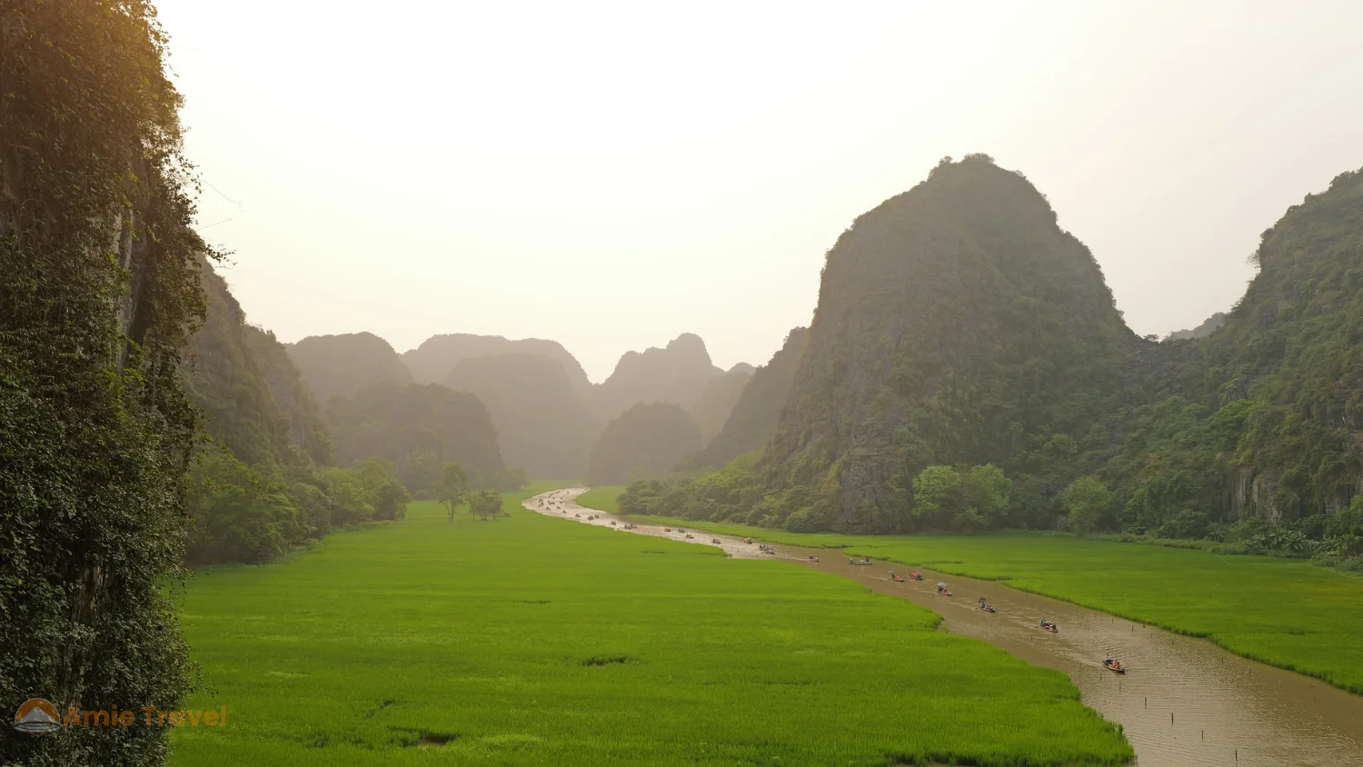 Tam Coc June deep green vivid rice fields rowing boat limestone karsts green season